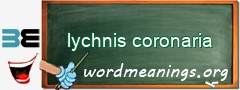 WordMeaning blackboard for lychnis coronaria